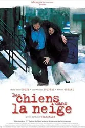 Des chiens dans la neige постер
