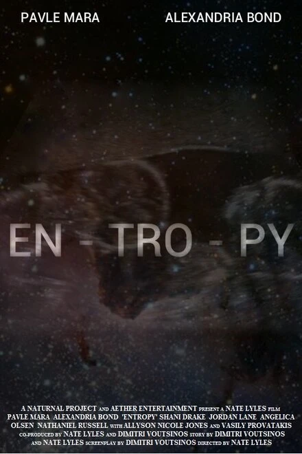 Постер Entropy 2019