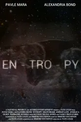 Entropy 2019 постер