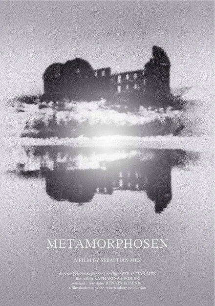 Постер Метаморфозы 2013