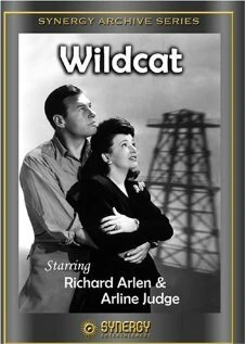 Постер Wildcat 1942