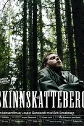 Скиннскаттеберг 2008 постер
