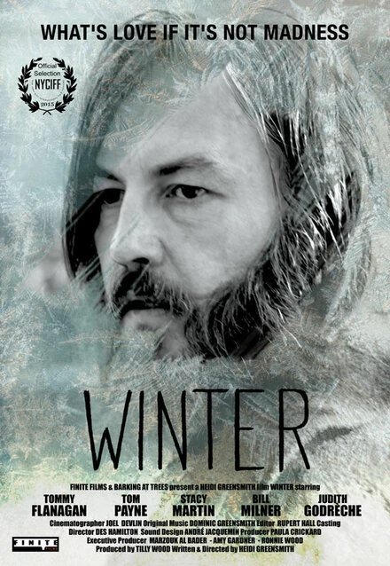 Постер Зима 2015