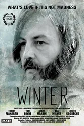 Зима 2015 постер
