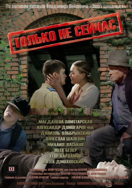 Постер Только не сейчас 2010