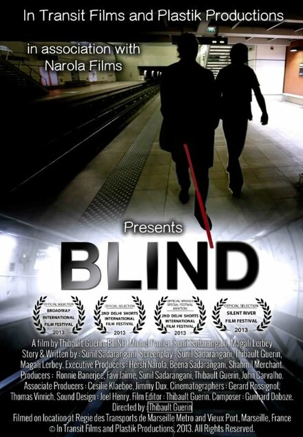 Постер Blind 2014, США