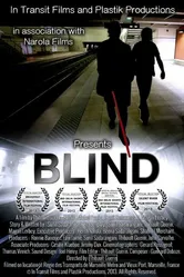 Blind 2014, США постер