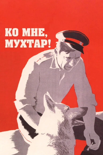Постер Ко мне, Мухтар! 1964