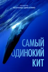 Самый одинокий кит 2021 постер