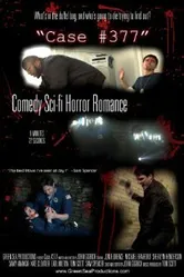 Case #377 постер