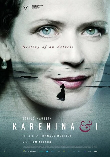 Постер Каренина и я 2017