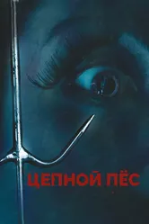 Цепной пес 2010 постер