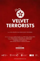 Вельветовые террористы 2013 постер