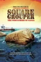 Square Grouper постер