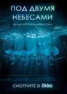 Под двумя небесами постер