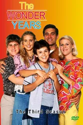 Чудесные годы 1988 постер