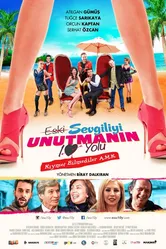 Eski Sevgiliyi Unutmanin 10 Yolu постер