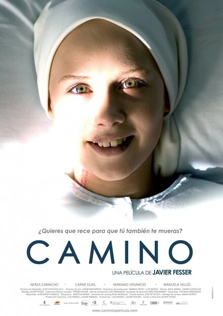 Постер Камино 2008