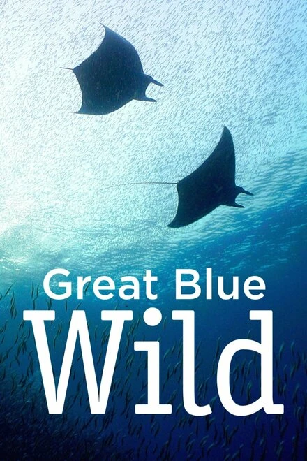 Постер Great Blue Wild