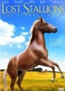 Lost Stallions: The Journey Home постер