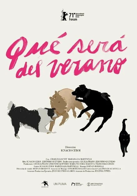 Постер Qué será del verano