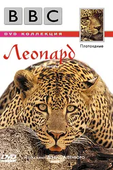 BBC: Леопард 1999 постер
