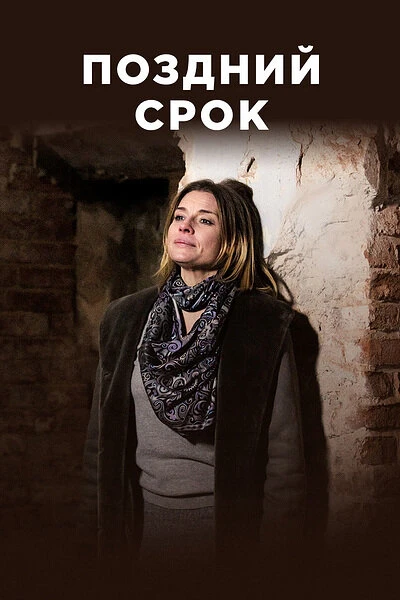Постер Поздний срок 2019