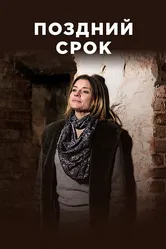 Поздний срок 2019 постер
