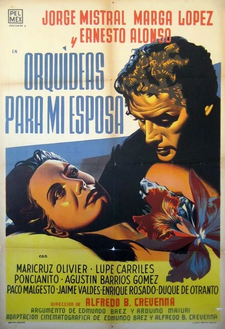 Постер Orquídeas para mi esposa
