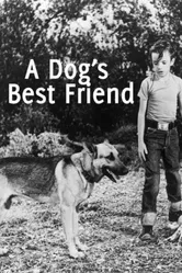 A Dog's Best Friend постер