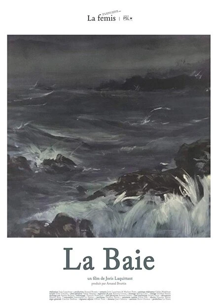 Постер La Baie