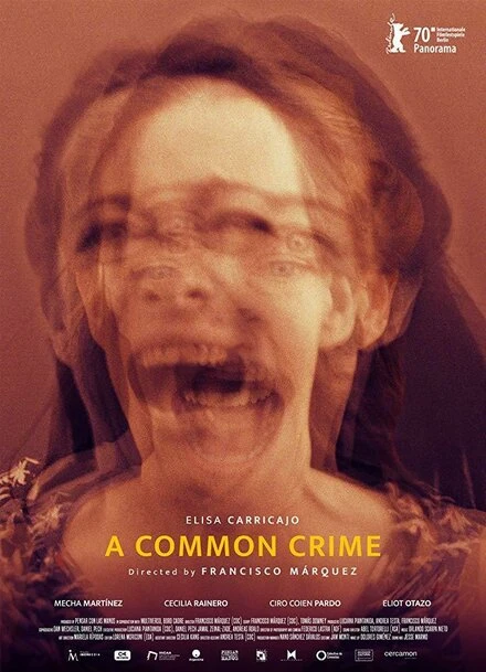 Постер Un crimen común