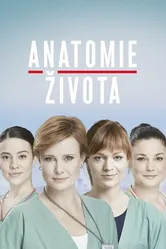Anatomie zivota постер