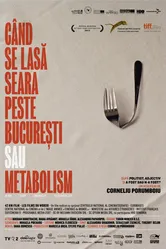 Когда в Бухаресте наступает вечер, или Метаболизм 2013 постер