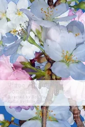 Video Art for Conditional Malaise постер
