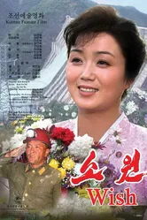 Желание 2011 постер