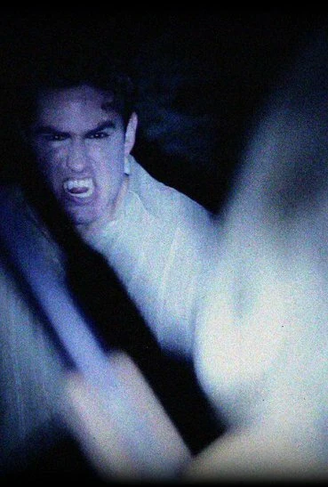 Постер Just the Vampire Hunter