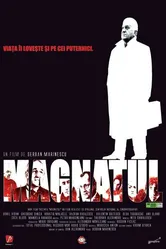 Magnatul постер