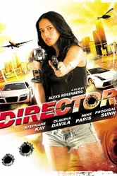 Director 2008 постер