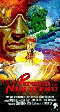 Постер The Power of Ninjitsu