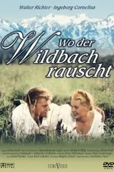 Wo der Wildbach rauscht постер