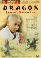 Long zai Shaolin постер