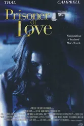 Пленница любви 1999 постер