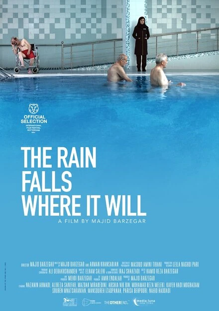 Постер The Rain Falls Where it Will