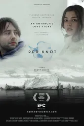 Красный узел 2014 постер