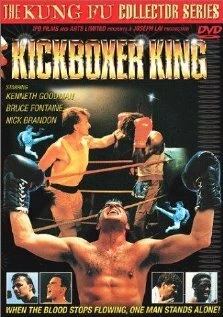 Постер Король кикбоксинга 1991