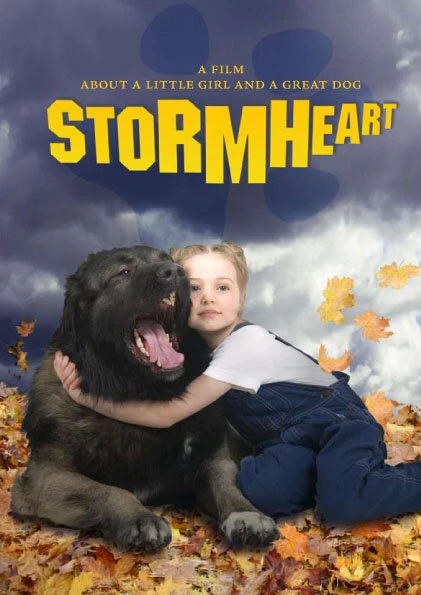 Постер Тайфун 2008