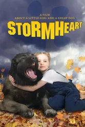Тайфун 2008 постер
