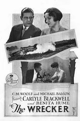 Вредитель 1929 постер