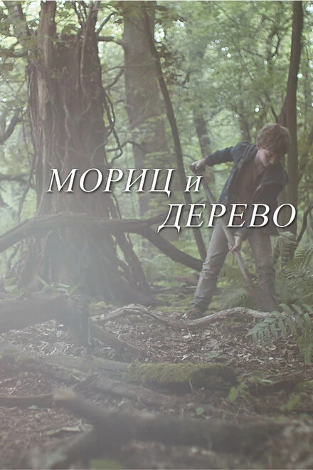 Постер Мориц и дерево 2013